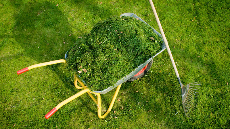 Main Garden Waste Wheelie Bins
